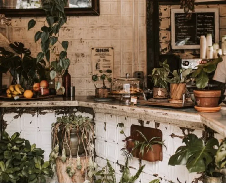 Crasemper Auctor Neque Witaetempus 7 post img 2 optimized