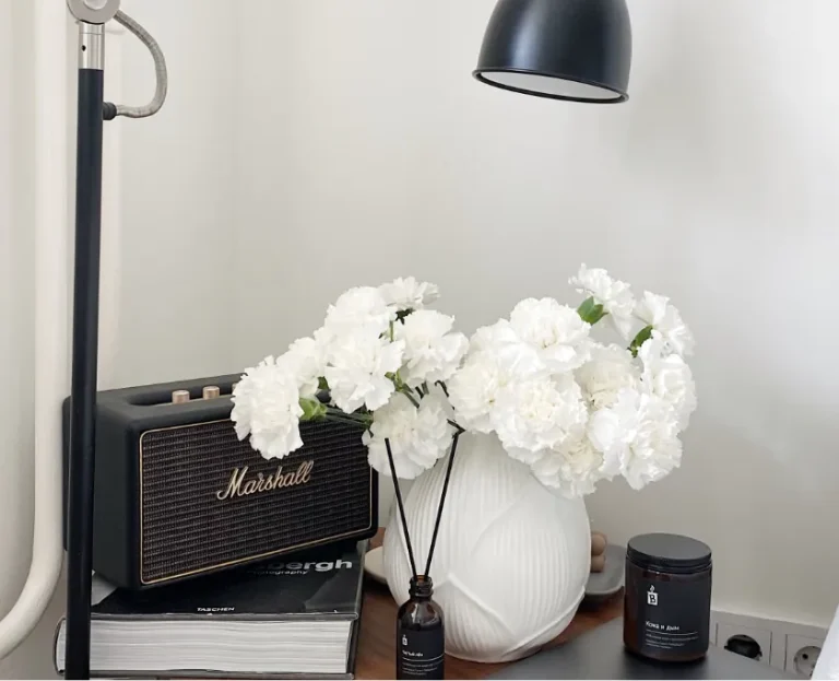 Egestas Diam Onarcu Cursus Euismod 5 post img 4 optimized