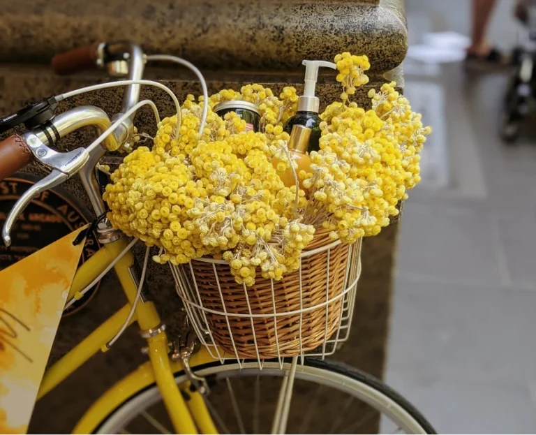 Cras Semper Auctor Neque Vitae 3 post img 6 optimized