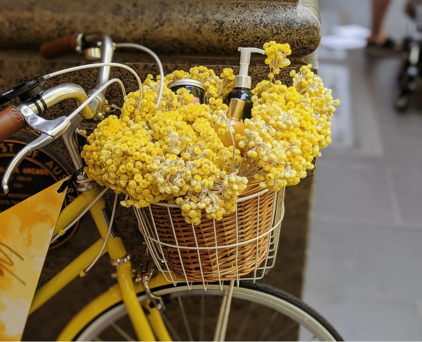 Cras Semper Auctor Neque Vitae 1 post img 6 optimized